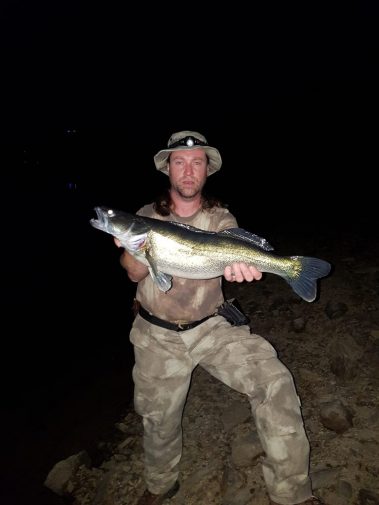 Fangmeldung: Zander