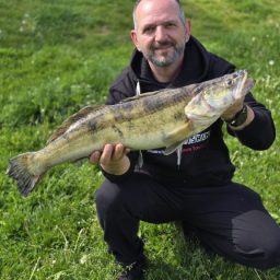 Fangmeldung: Zander