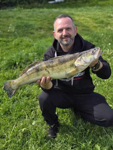 Fangmeldung: Zander