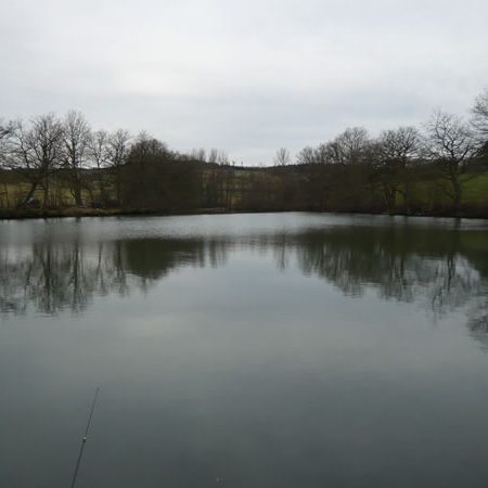 Berghäuser Weiher