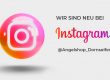 Angelsgop Dornseifer auf Instagram